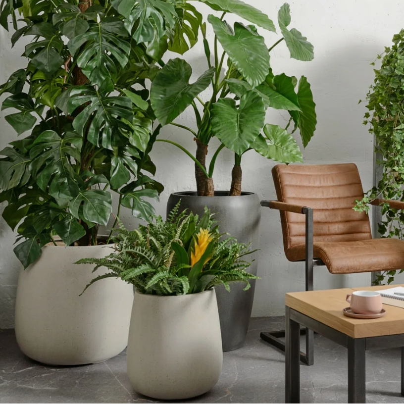 Кашпо Treez Effectory в ассортименте